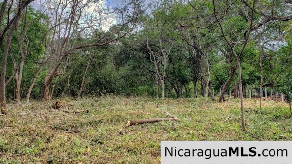 Premium Acre Road to Beaches No Restrictions San Juan del Sur - Image 7