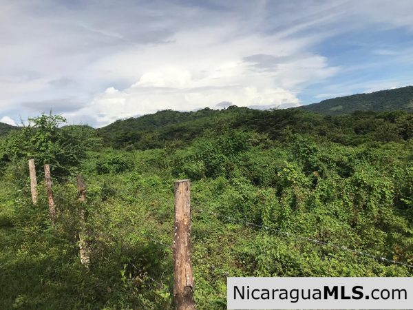 Flat Two Manzana Lot with Great Potential in Las Delicias - Image 4
