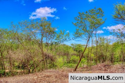 Eco Estate View Property 1.5 Acres Las Fincas de Escamequita - Image 9