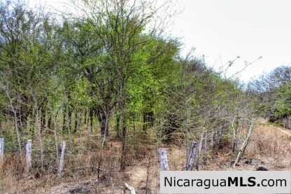 1 Block to Ocean 3.5 acres Lots 5 & 6 Prado de la Bahia Ostional