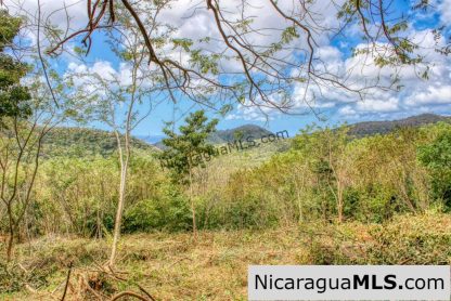 Ocean View Rolling Acres Privacy Arriba Verde Estate