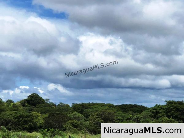 4 Acres in Las Delicias on the Road to Playa Coco - Image 3
