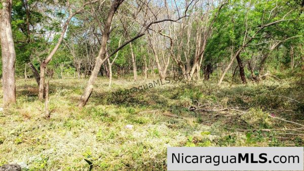 Premium Acre Road to Beaches No Restrictions San Juan del Sur - Image 8
