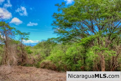 Eco Estate View Property 1.5 Acres Las Fincas de Escamequita - Image 11