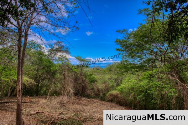 Eco Estate View Property 1.5 Acres Las Fincas de Escamequita - Image 10