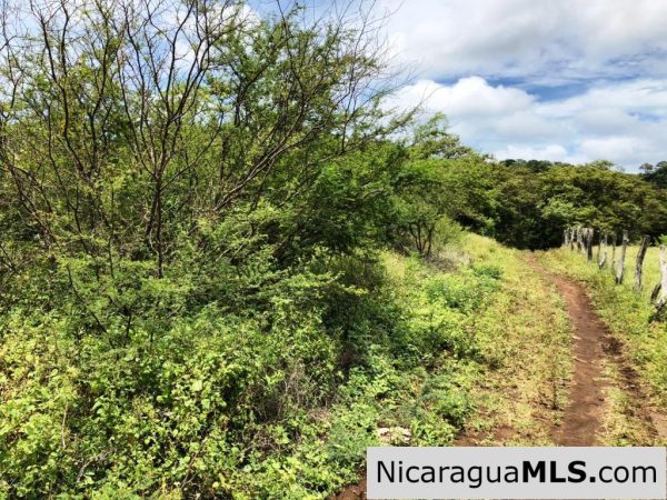 4 Acres in Las Delicias on the Road to Playa Coco - Image 8