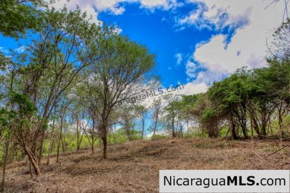 Eco Estate View Property 1.5 Acres Las Fincas de Escamequita - Image 12