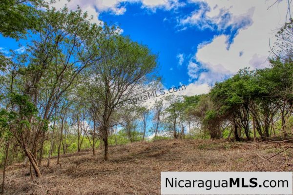 Eco Estate View Property 1.5 Acres Las Fincas de Escamequita - Image 12