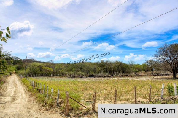 1 Block to Ocean 3.5 acres Lots 5 & 6 Prado de la Bahia Ostional - Image 9
