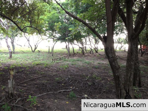 Beachfront Hacienda Iguana - Image 3