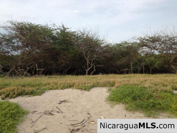 Beachfront Hacienda Iguana - Image 2