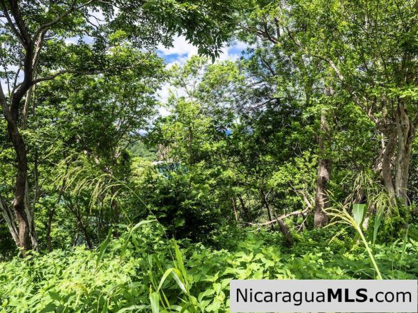 Cala Azul Hilltop Lots with Panoramic Ocean Views - Image 5