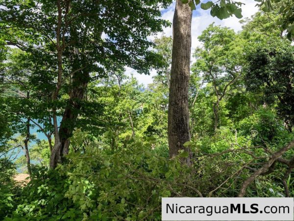 Cala Azul Hilltop Lots with Panoramic Ocean Views - Image 15