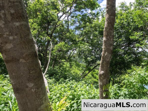 Cala Azul Hilltop Lots with Panoramic Ocean Views - Image 17