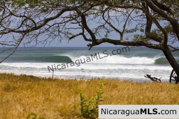 Existing Coastal Development Project for Sale - Image 5