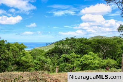 Peaceful Private Ocean View Lot San Juan del Sur
