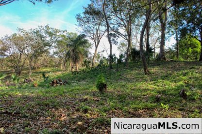 1.5 acres Nestled in Nature SJDS Financing Available