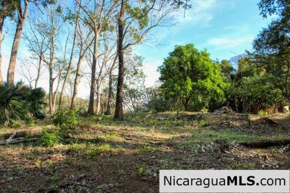 1.5 acres Nestled in Nature SJDS Financing Available