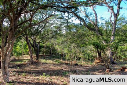 1.5 acres Nestled in Nature SJDS Financing Available