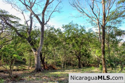 1.5 acres Nestled in Nature SJDS Financing Available