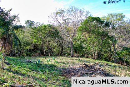 1.5 acres Nestled in Nature SJDS Financing Available