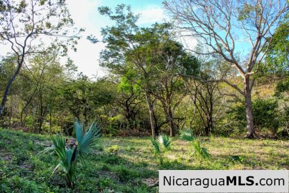 1.5 acres Nestled in Nature SJDS Financing Available