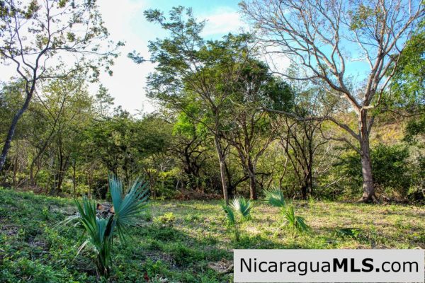 1.75 acres Nestled in Nature SJDS Financing Available - Image 15