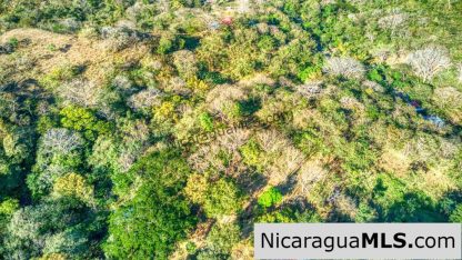 1.5 acres Nestled in Nature SJDS Financing Available