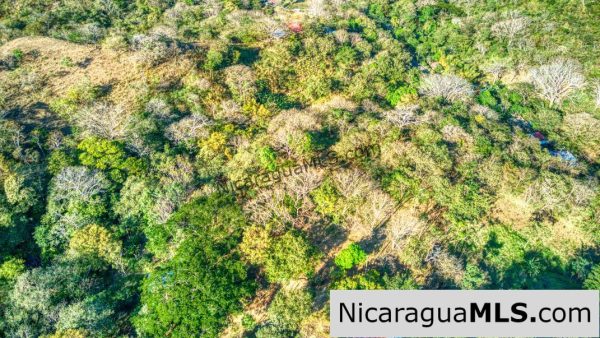1.75 acres Nestled in Nature SJDS Financing Available - Image 18