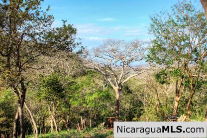 1.5 acres Nestled in Nature SJDS Financing Available