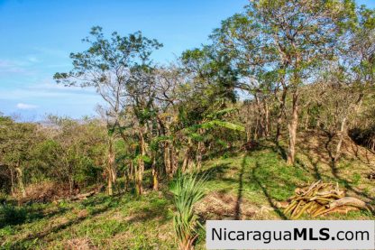 1.5 acres Nestled in Nature SJDS Financing Available