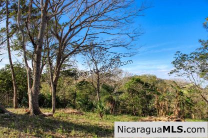 1.5 acres Nestled in Nature SJDS Financing Available