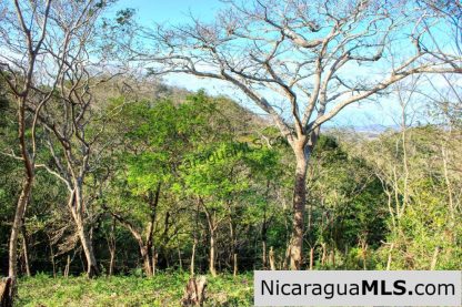 1.5 acres Nestled in Nature SJDS Financing Available