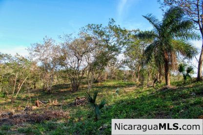 1.5 acres Nestled in Nature SJDS Financing Available