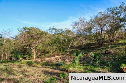 1.5 acres Nestled in Nature SJDS Financing Available