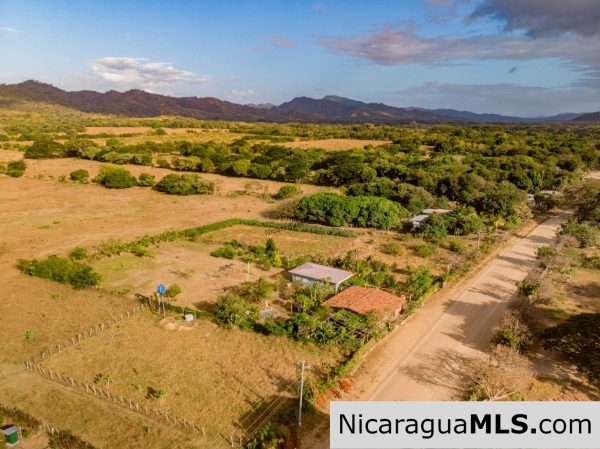 El Limon Dos Property with a Variety of Fruit Trees in Tola - Image 3