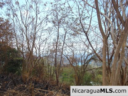 Rancho Papayal Lots Near TreeCasa San Juan Del Sur