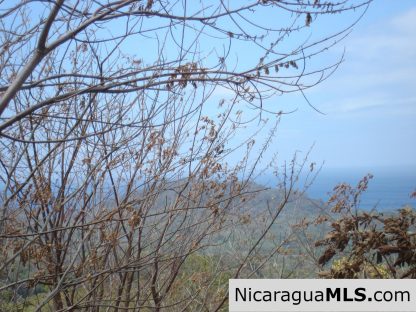 Rancho Papayal Lots Near TreeCasa San Juan Del Sur