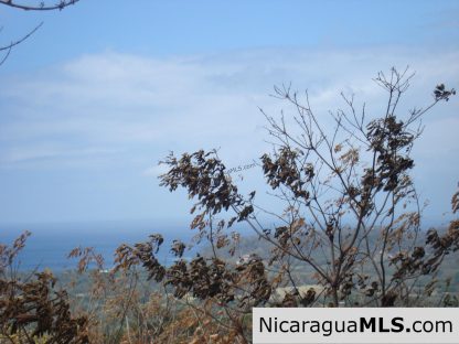 Rancho Papayal Lots Near TreeCasa San Juan Del Sur