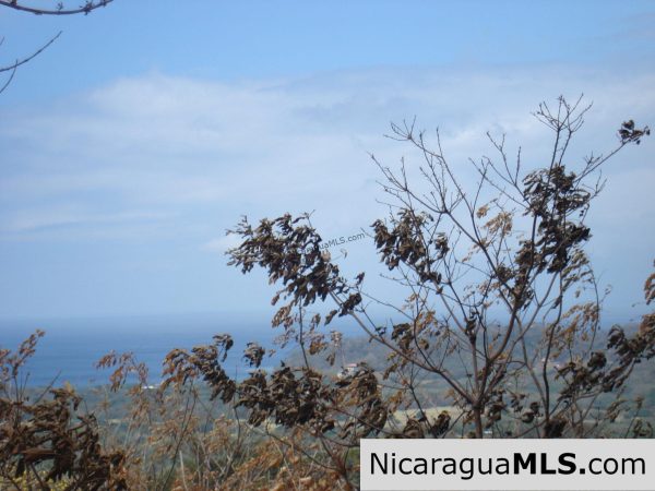 Rancho Papayal Lots Near TreeCasa San Juan Del Sur - Image 6