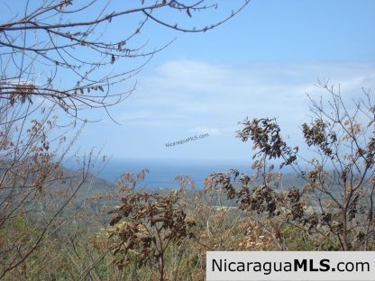 Rancho Papayal Lots Near TreeCasa San Juan Del Sur