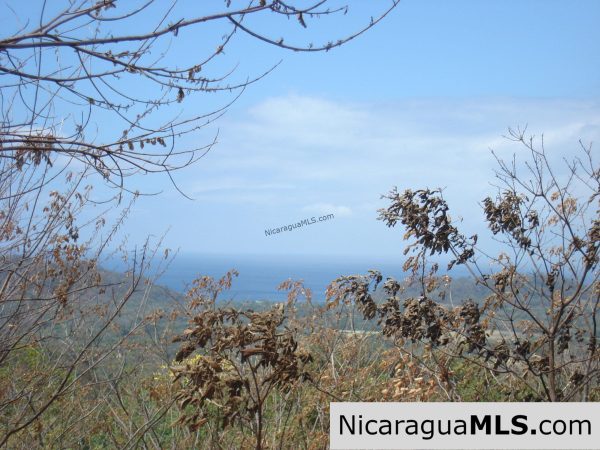 Rancho Papayal Lots Near TreeCasa San Juan Del Sur