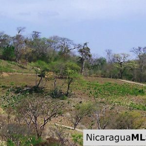 El Encanto Lot A1 for Sale Near TreeCasa