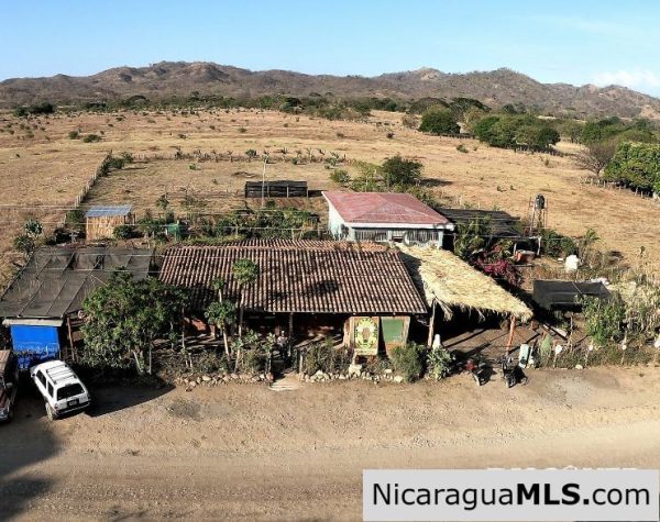El Limon Dos Property with a Variety of Fruit Trees in Tola - Image 5