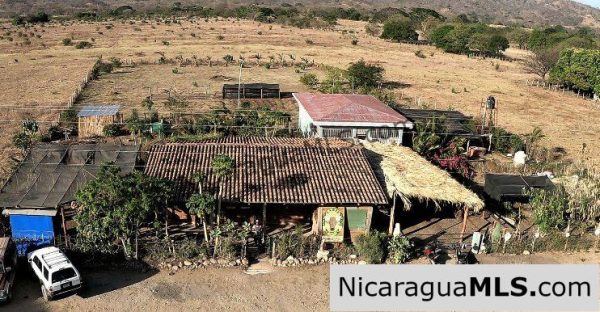 El Limon Dos Property with a Variety of Fruit Trees in Tola