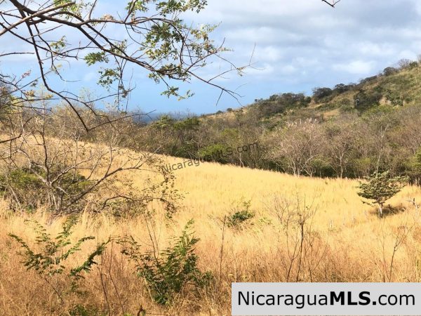 El Oro Flat Lot Ready to Build with Access to Water & Electricity - Image 5