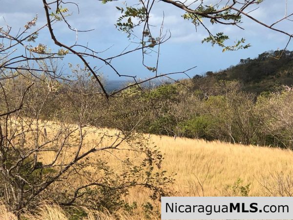 El Oro Flat Lot Ready to Build with Access to Water & Electricity - Image 16