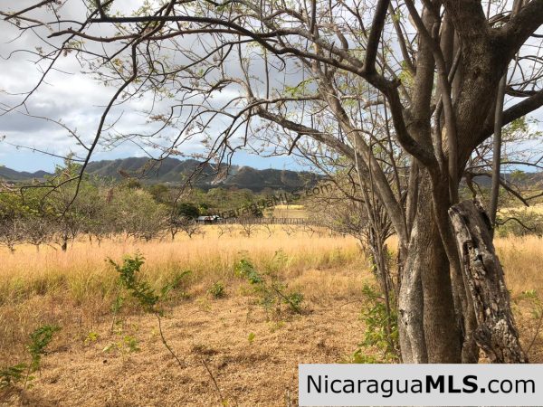 El Oro Flat Lot Ready to Build with Access to Water & Electricity - Image 17