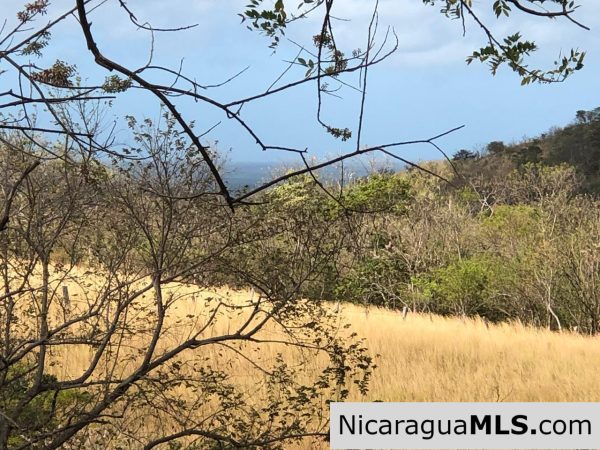 El Oro Flat Lot Ready to Build with Access to Water & Electricity - Image 18