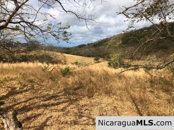 El Oro Flat Lot Ready to Build with Access to Water & Electricity - Image 19